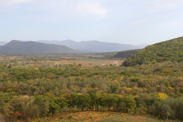 Golden autumn