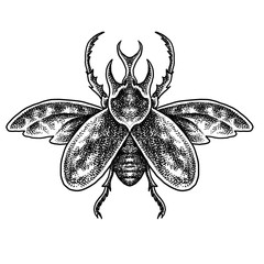 Beetle horn Tattoo style