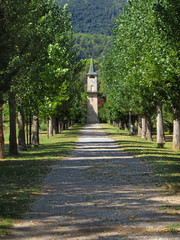 Antique clock tower at the end of a road through a row of green leafy trees in summer.