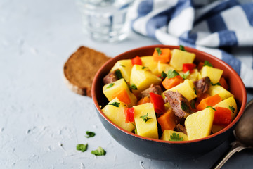 Beef potato carrot stew in the bowl