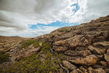 Fototapeta premium Landscape of Kazakhstan (Ulytau)