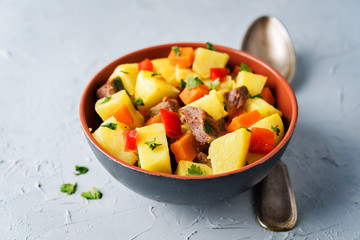 Beef potato carrot stew in the bowl