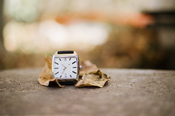 Close-Up of  Minimal Design old Metal Luxury Watch on Wooden Table with fallen dry leaves. Blurred autumn background. copy space