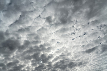 Cloudy sky, white cumulonimbus clouds background