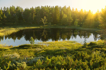 Mountain lake sunrise landscape, Norway, fir trees forest, Otta.