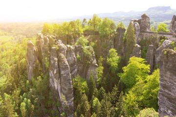 Fototapeta na wymiar Rock landscape, Saxony, Bridge in Saxon Switzerland, Germany