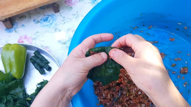 Female hands preparing stuffed vine, grape leaves with rice and meat. Traditional (Greek, Armenian, Turkish) national food. Different angles included. 4k Resolution.