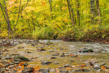 Moriyoshi Park in early autumn