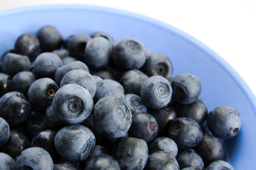 Ripe blackberry in a light blue bowl isolated on white