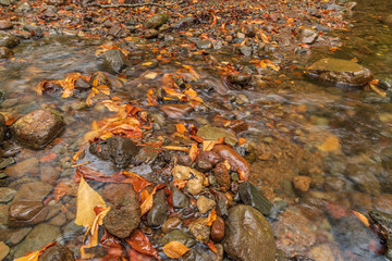 Moriyoshi Park in early autumn