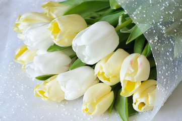 Tender bouquet of white and light yellow tulips on white