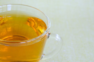Herbal tea in a transparent glass cup on light green background 