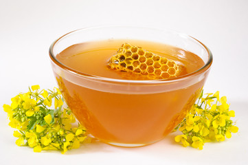 A bowl of fresh organic honey with a piece of honeycomb in it isolated on white