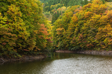 Fototapeta premium Moriyoshi Park in early autumn