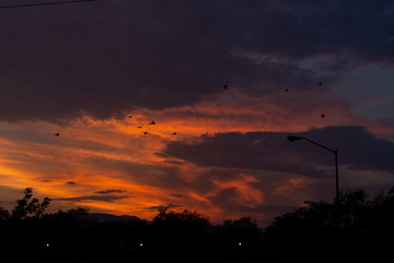 atardecer