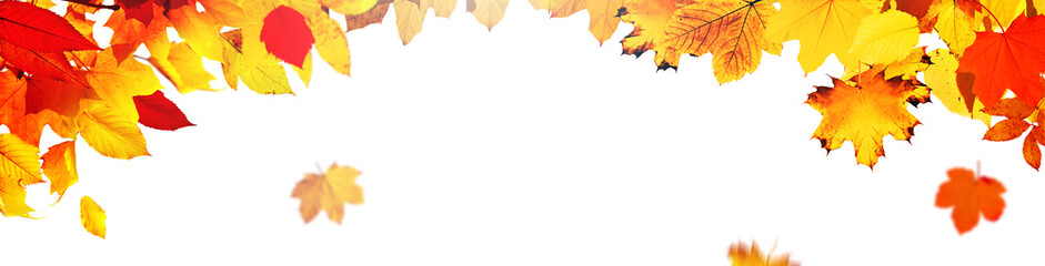 Goldener Herbst