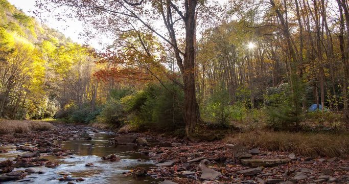 A time-lapse of sunset followed by the bright light of moonrise. Recorded next to Laurel Fork Creek on the Laurel Fork Trail in the George Washington National Forest in Highland County, Virginia. A te
