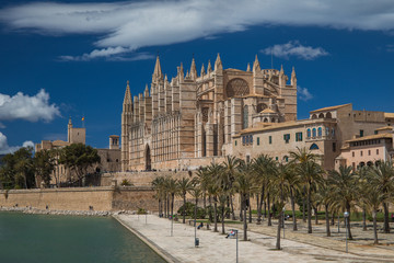 Cathedral of spain Majorca