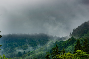 nebellandschaft - berge - idyllische landschaft