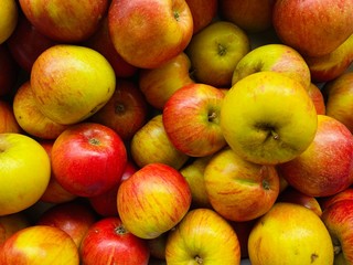 Lovely isolated healthy food for a good life