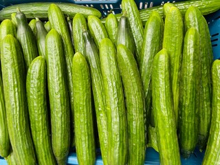 Lovely isolated healthy food for a good life