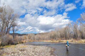 Colorado River Fly fishing