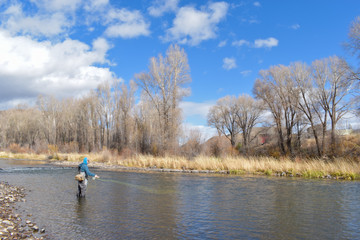 Fototapeta na wymiar Colorado River Fly fishing