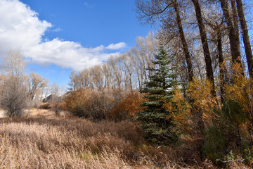 Colorado River Rural Park