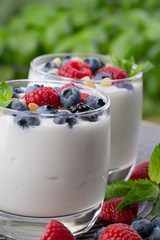 yogurt with a mix of wild berries