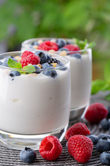 yogurt with a mix of wild berries