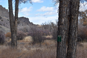 Fototapeta premium Colorado River Rural Park