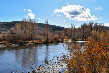 Colorado River Rural Park