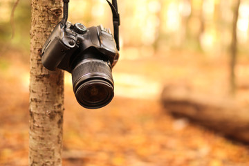 modern camera hanging on a tree in autumn forest. Selected focus and soft background