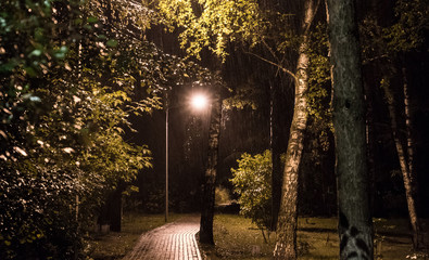 Night. Street. Lantern. Rain in the Park.