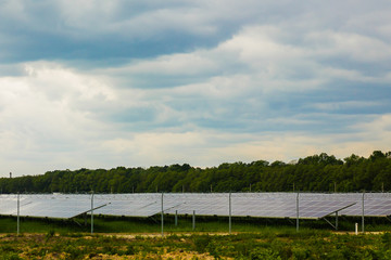 A field of solar panels on the background of flowers