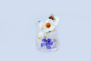 Ice cubes with flowers on white background, closeup