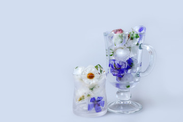 Ice cubes with flowers on white background, closeup