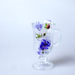 Ice cubes with flowers on white background, closeup