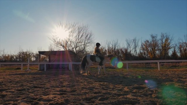 Girl rider rides a horse. The little horse rider on Poni jumps along the epadrome. He practices horseback riding.