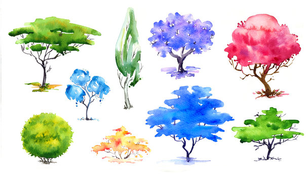 Confection decorative trees and bush.Poplar,jacaranda.Violet,blue,pink,orange and green tree.Hand drawn. Watercolor illustration