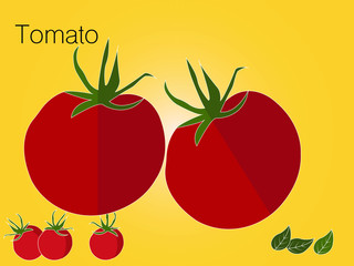 Red tomato with green leaf sketch of organic natural vegetable. Vector illustration can use for promotion, advertisement, with text; for agriculture themes, farm market and ketchup sauce label design