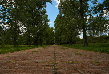 Fototapeta na wymiar rustic brick road