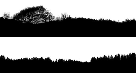 silhouette of the forest / pine forest and bushes on a white background © ginettigino
