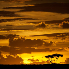 Obraz na płótnie Canvas Masai Mara sunset