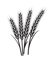 Wheat vector plant grain icon illustration. Wheat field harvest design agriculture