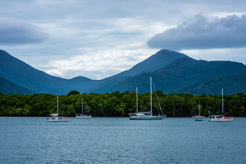 Australian landscape