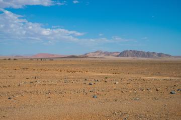 Fototapeta na wymiar Desert and mountain in Wide Open Spaces