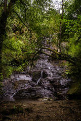 bosque natural con cascada en el fondo galicia españa
