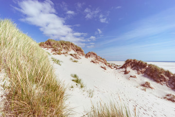 Weiße Sanddünen mit Strandgras bewachsen