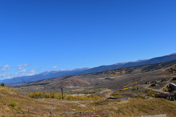 Colorado yellow and orange aspen